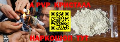 СК Рыбинск